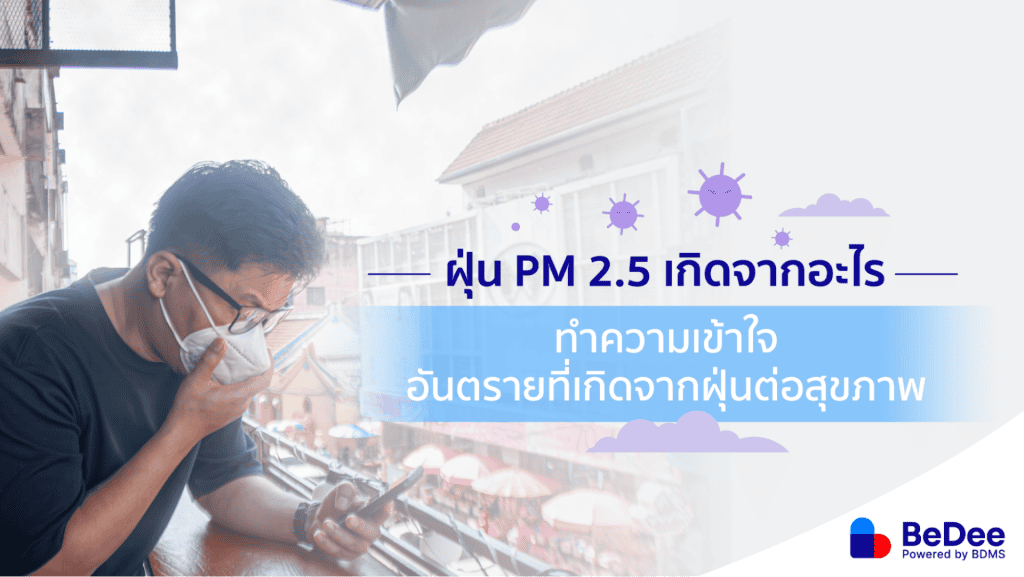 สาเหตุฝุ่น PM 2.5